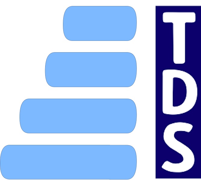 TDS France Logo_Mails.jpg